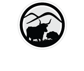 Gordon City Hall in Gordon, TX (3)