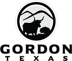 Gordon City Hall in Gordon, TX (5)