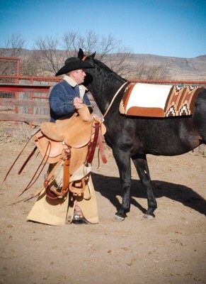 Big Bend Saddlery in Alpine, TX (6)