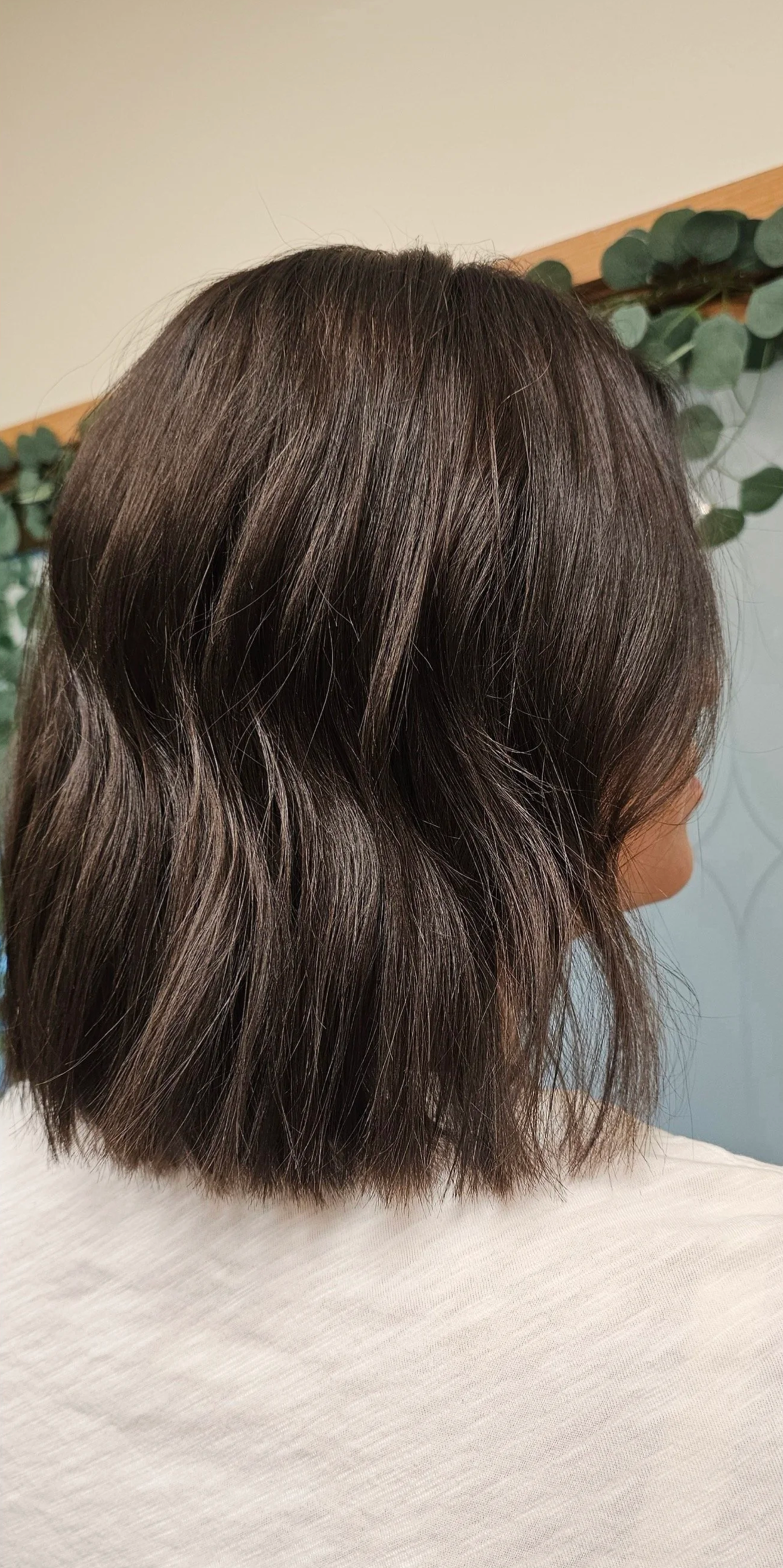Monet + Lilly Hair Studio in Woodridge, IL