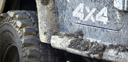 Wellington Auto Service in Wellington, FL