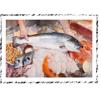 Madara's Seafood in Newtown, PA