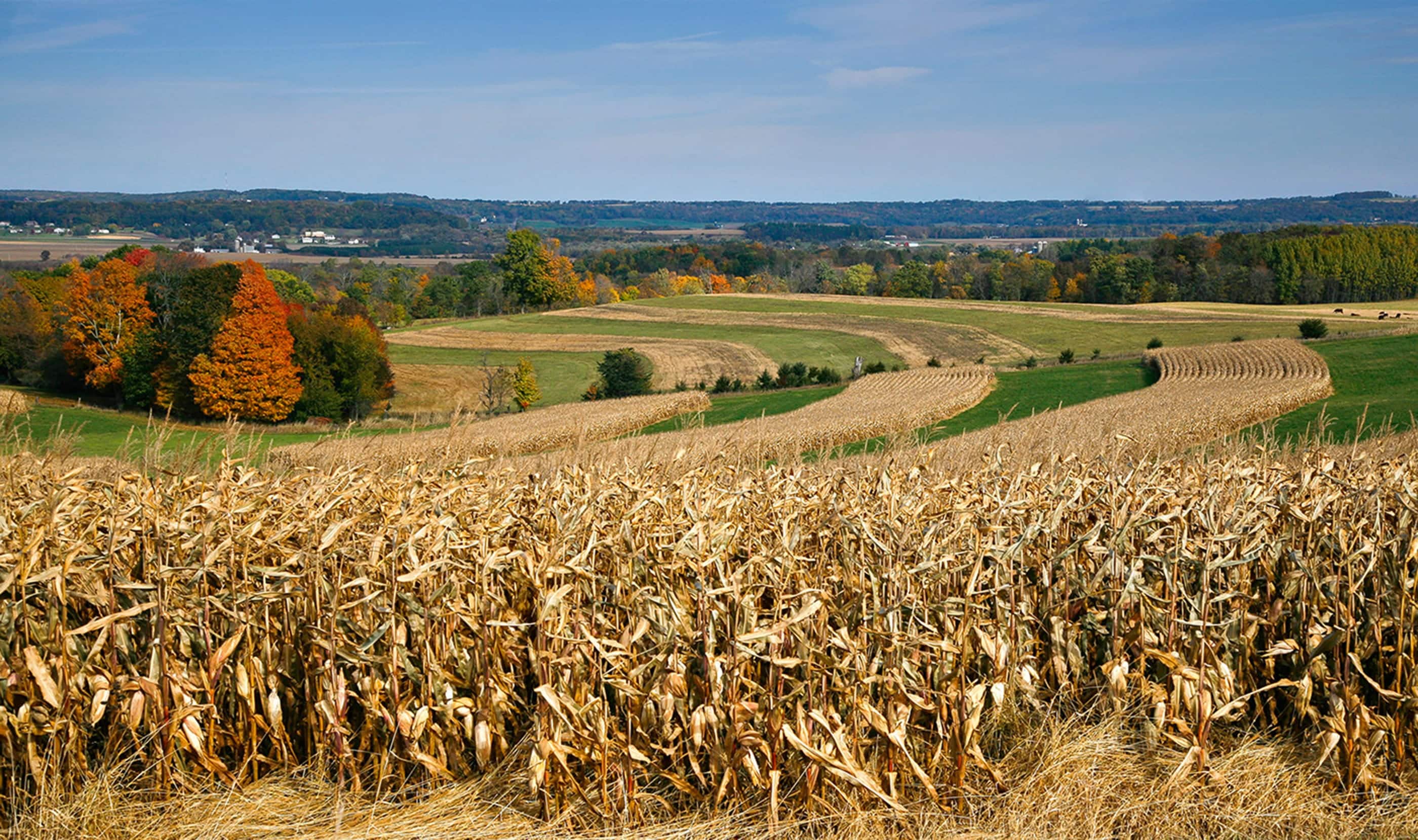 Muter Law Office LLC in Baraboo, WI (2)