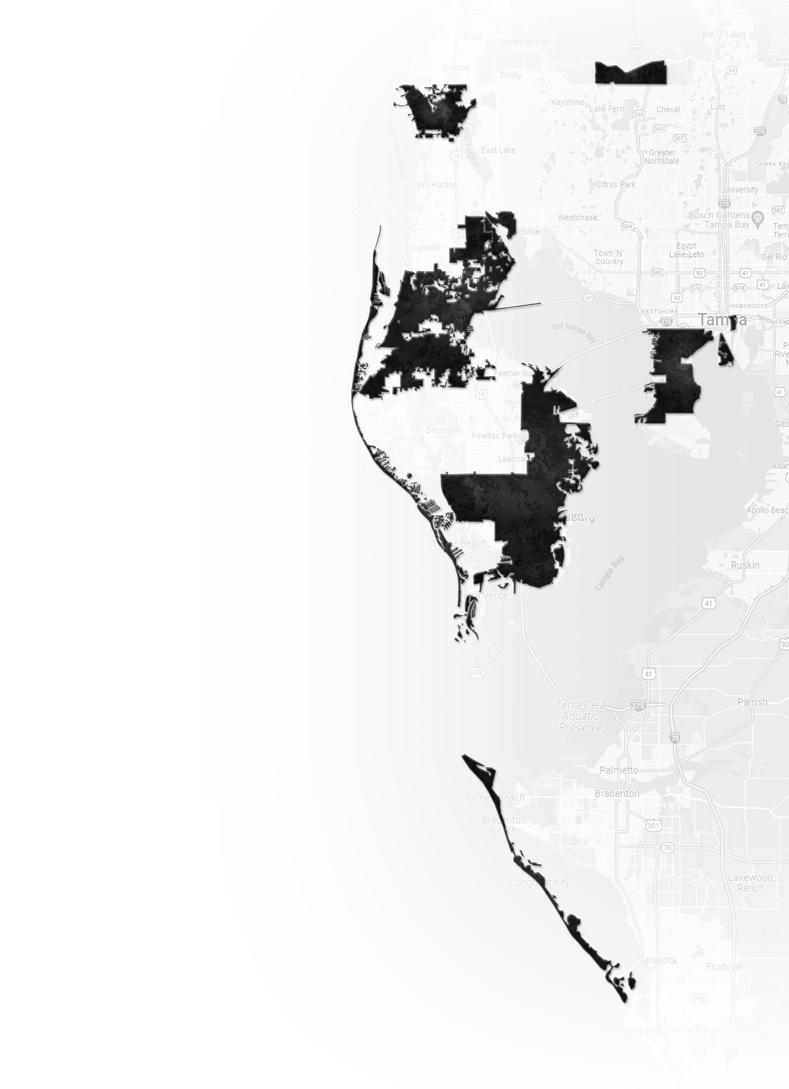 Dania Perry - Luxury & Waterfront Real Estate Specialist in Tampa, FL (6)
