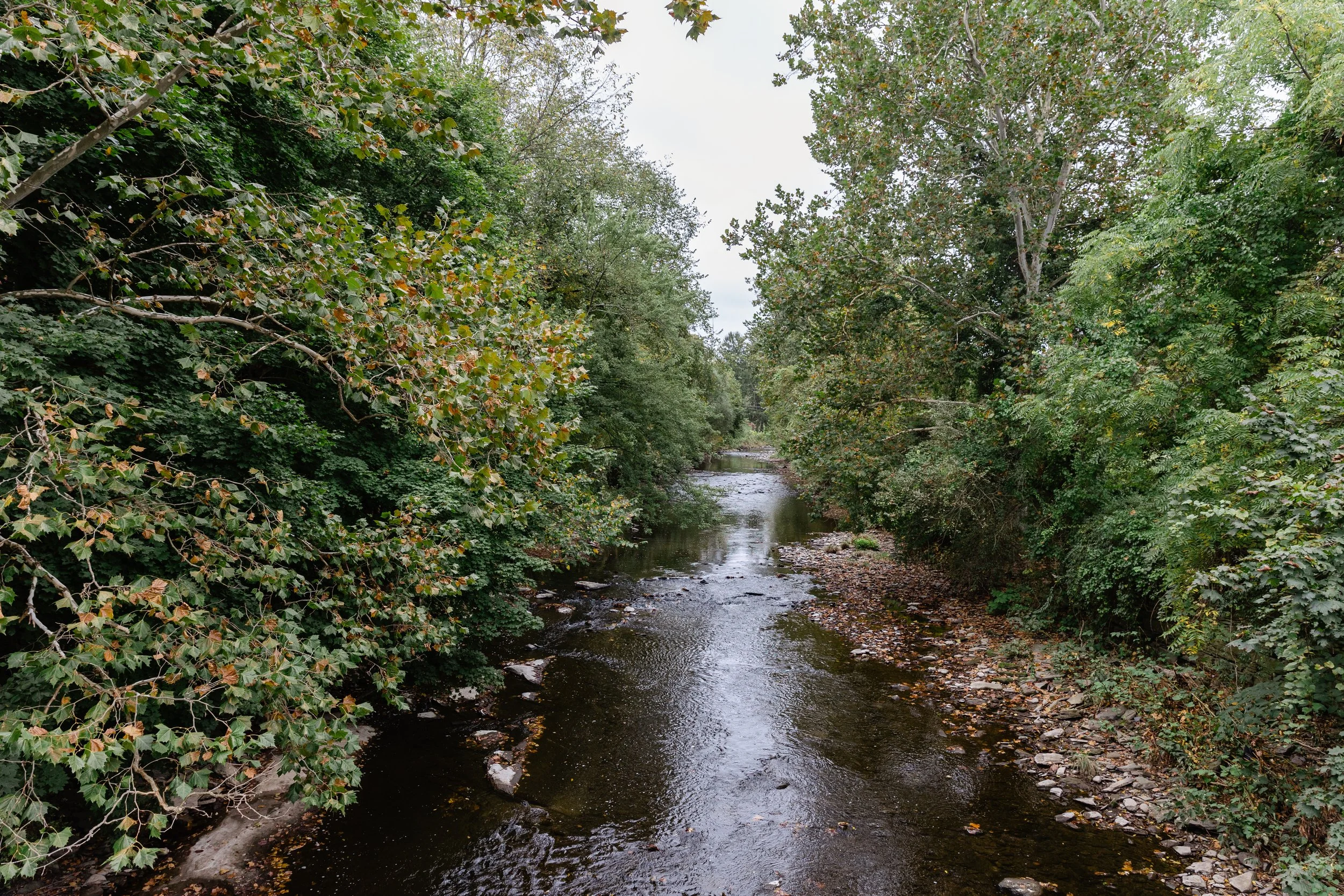 Creekside Cafe in Factoryville, PA (2)