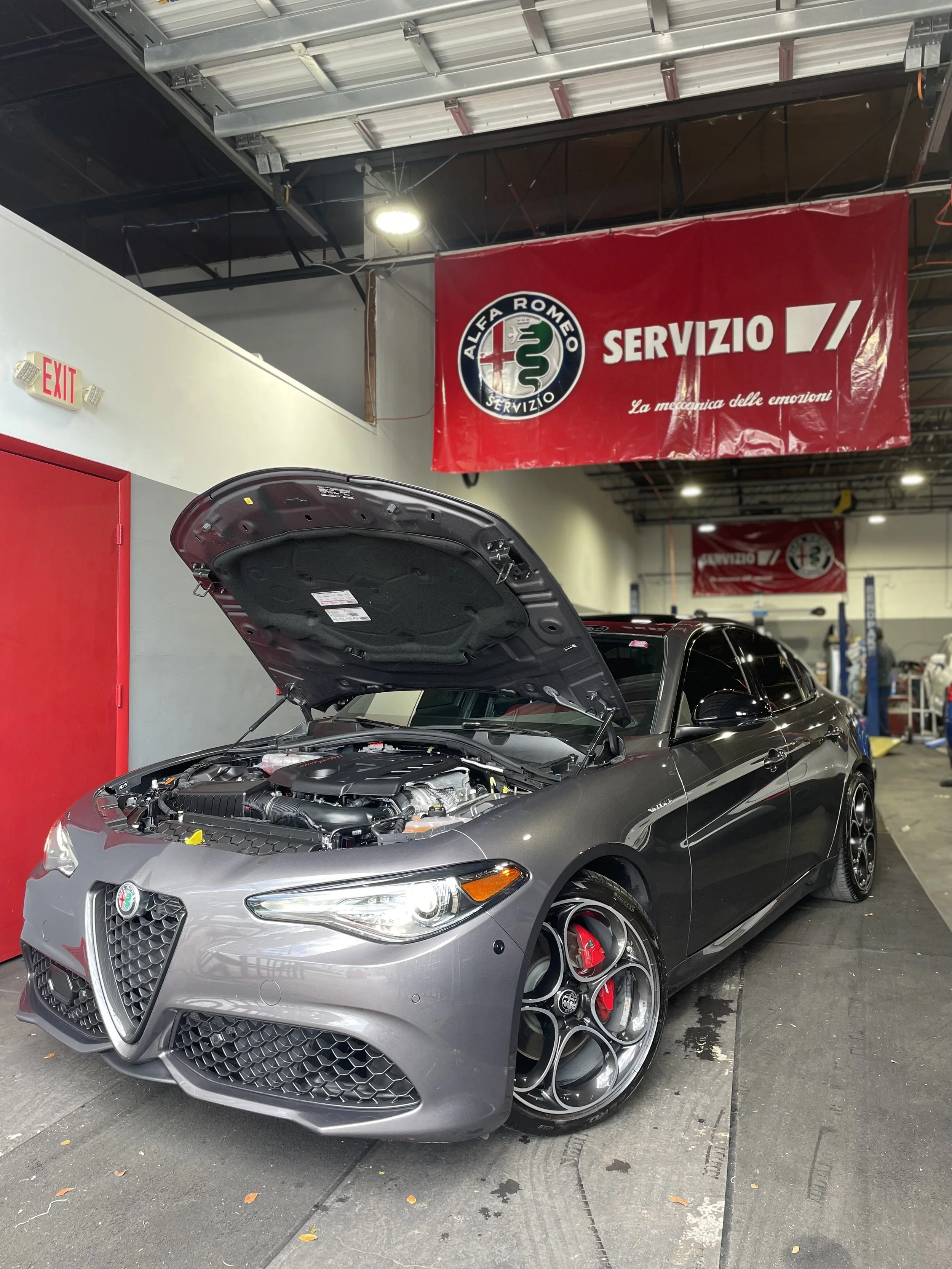 ALFA GARAGE MIAMI in Miami, FL