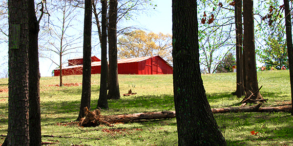 TALLEY & ASSOCIATES, P.C. in Conyers, GA (3)