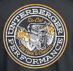 Unterberger Performance in Camarillo, CA (3)