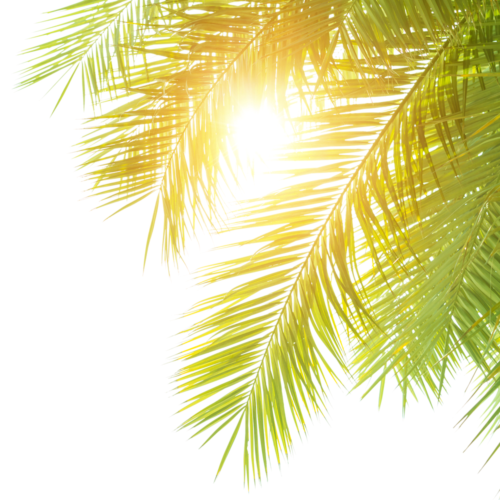 Steven J. Gilpatrick Attorney at Law in Shalimar, FL