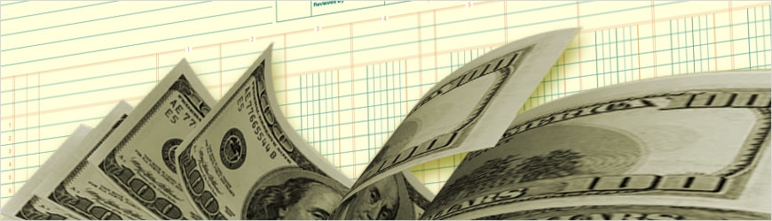 Shealy Rice Accounting & Tax Service in Batesburg-Leesville, SC (2)