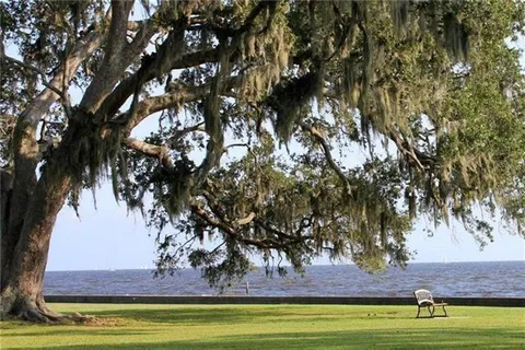 Lynnette Boudet, Realtor - Compass Realtors in Mandeville, LA