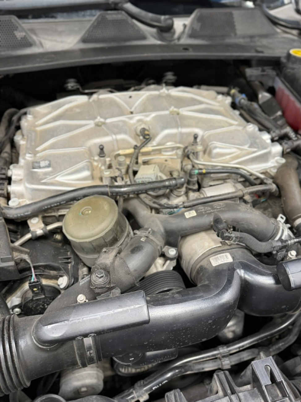 Autoscope European Car Care in Plano, TX