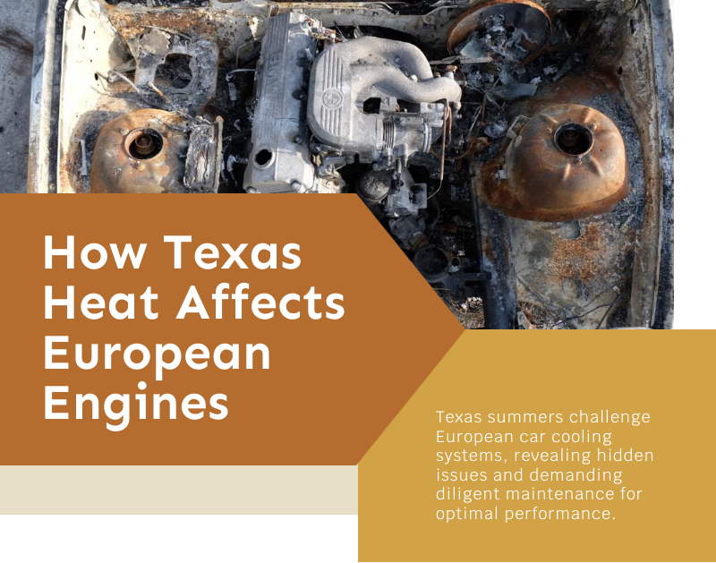 Autoscope European Car Care in Plano, TX (2)