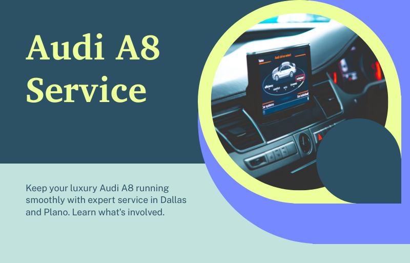 Autoscope European Car Care in Plano, TX (6)