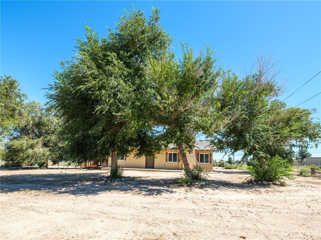 Gina Schene, REALTOR | First Team Real Estate in Victorville, CA (3)