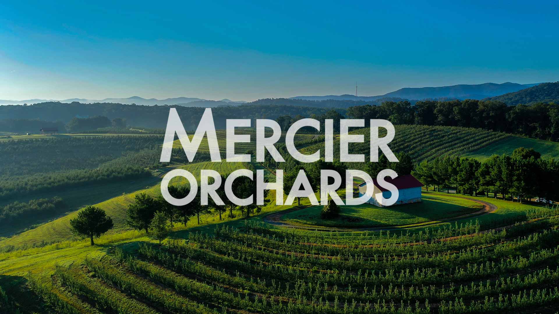 Mercier Orchards in Blue Ridge, GA