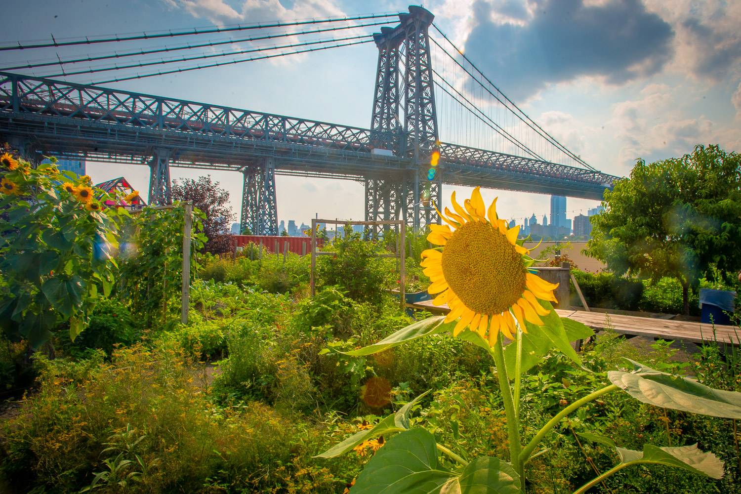 New York Habitat VLF Inc in New York, NY