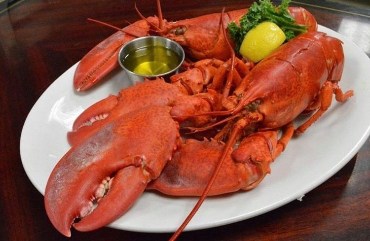 Tropical Acres Steakhouse in Fort Lauderdale, FL (2)