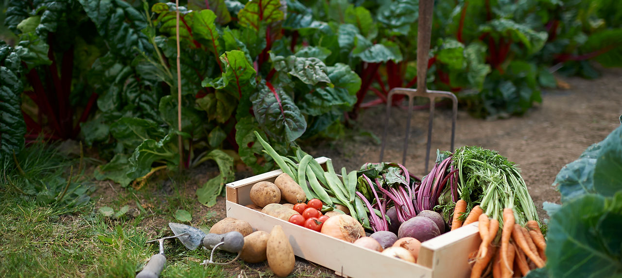 West Georgia Farmers Cooperative in Hamilton, GA