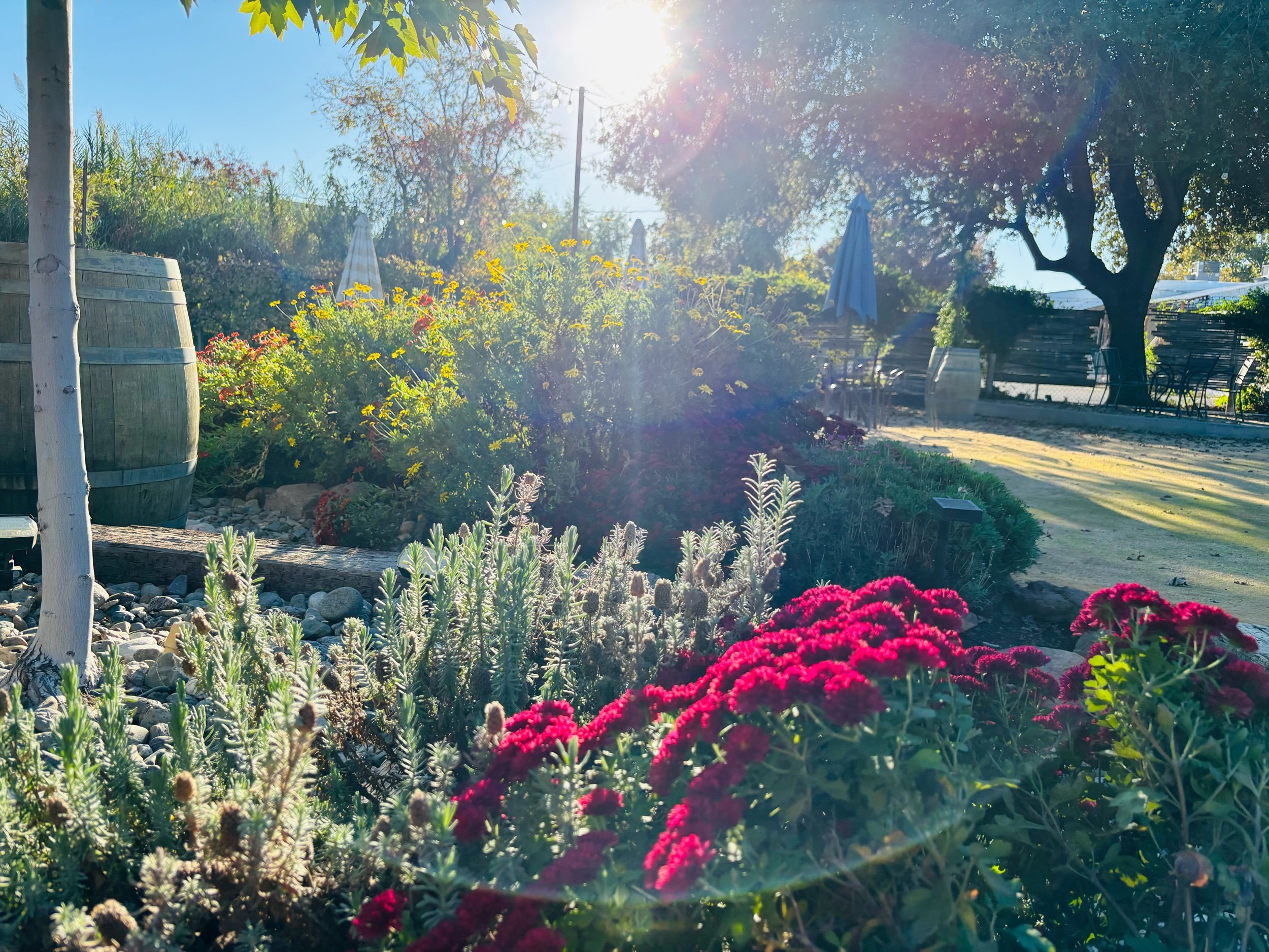 Cafe Coda in Chico, CA (4)