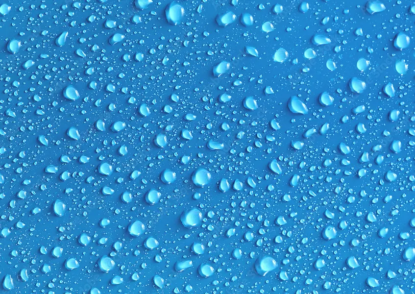Meticulous Mike's - Mobile Detailing in Huron, OH