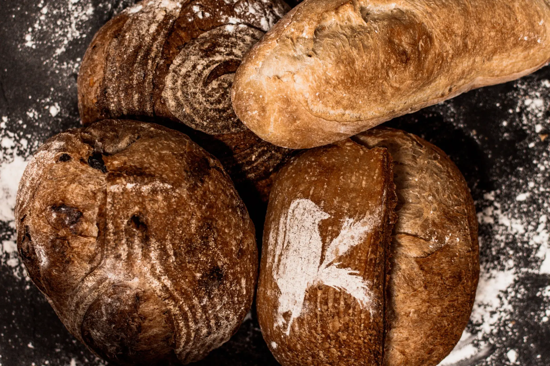 Ovenbird Bakery in Baltimore, MD (4)