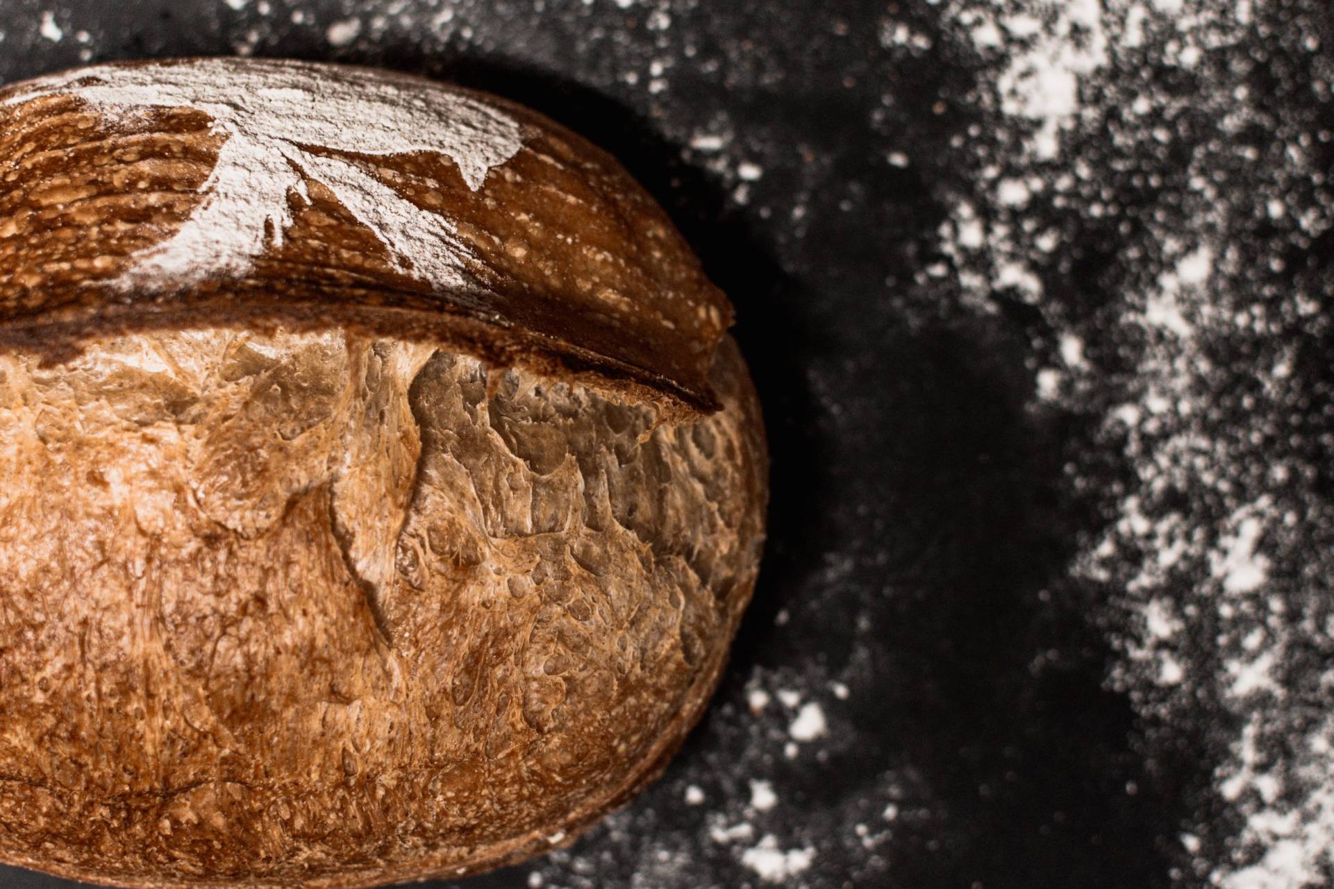 Ovenbird Bakery in Baltimore, MD (5)
