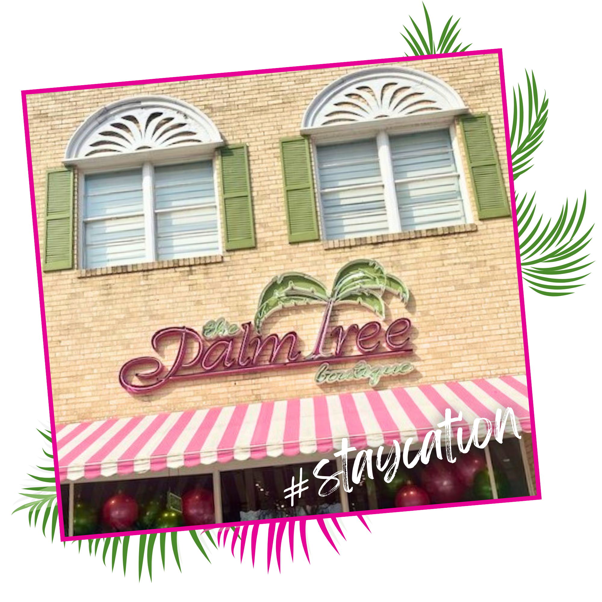 The Palm Tree in McKinney, TX (3)