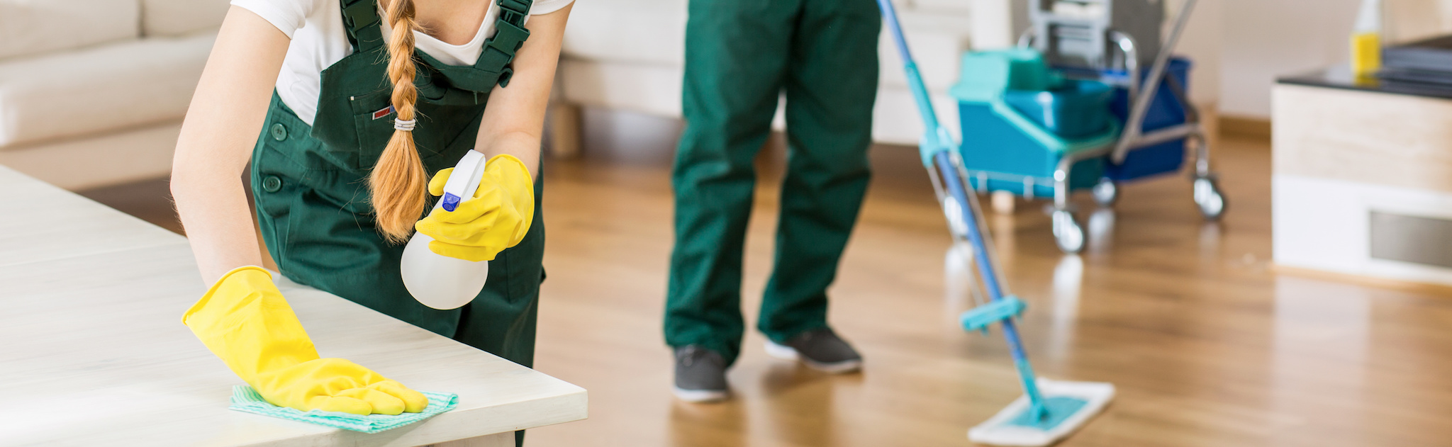Family Cleaning Services in Grand Prairie, TX (2)
