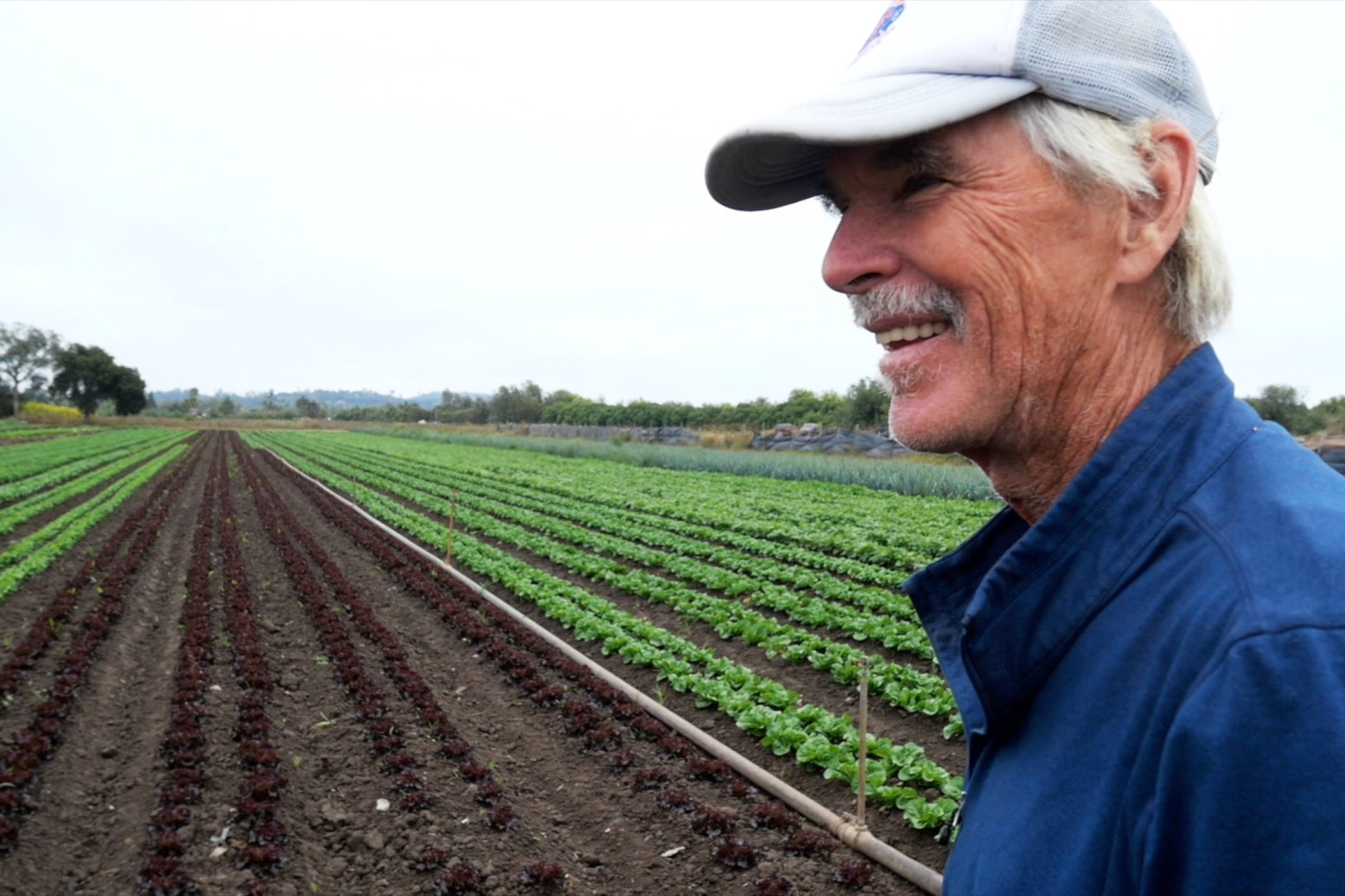 Tri-County Produce Co in Santa Barbara, CA (4)