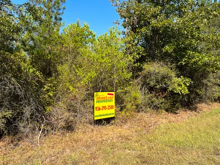 HomeLand Properties, Inc. in Huntsville, TX (5)