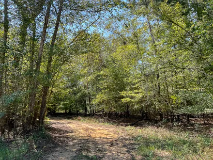 HomeLand Properties, Inc. in Huntsville, TX (6)