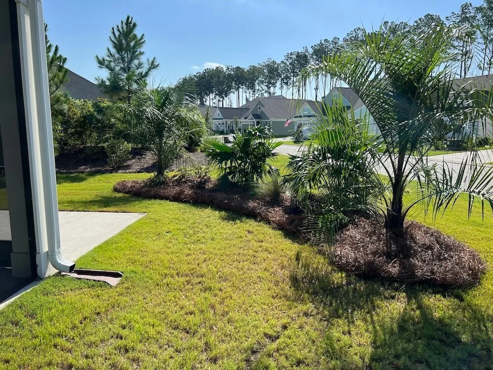 New Vision Landscapes LLC in Bluffton, SC (3)