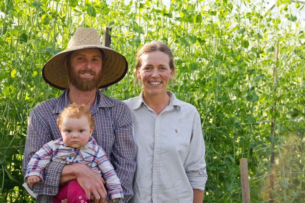 High Country Food Hub in Boone, NC