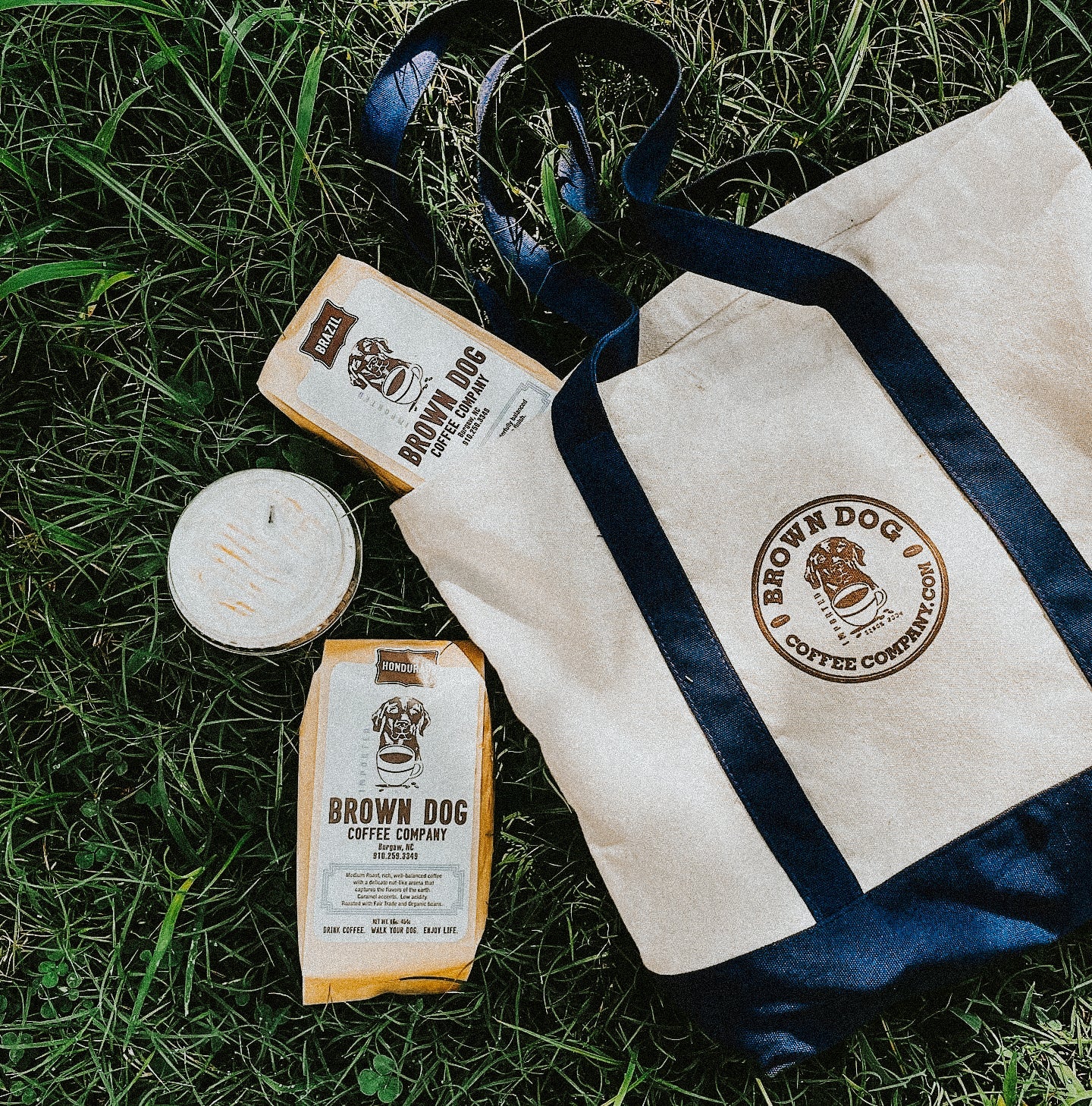 Brown Dog Coffee Company in Burgaw, NC (5)