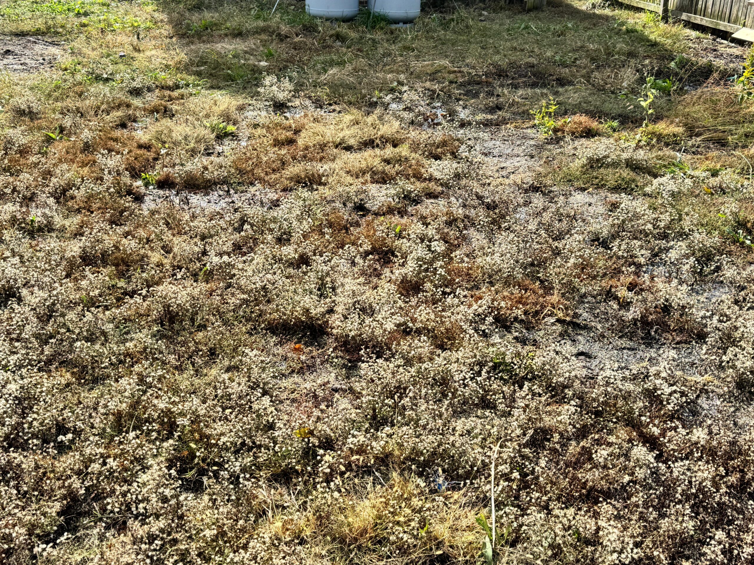 Insta Junk Removal & Demolition in Salisbury, MD
