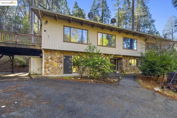 Nina Ahlers Real Estate Advisor in Clayton, CA (2)