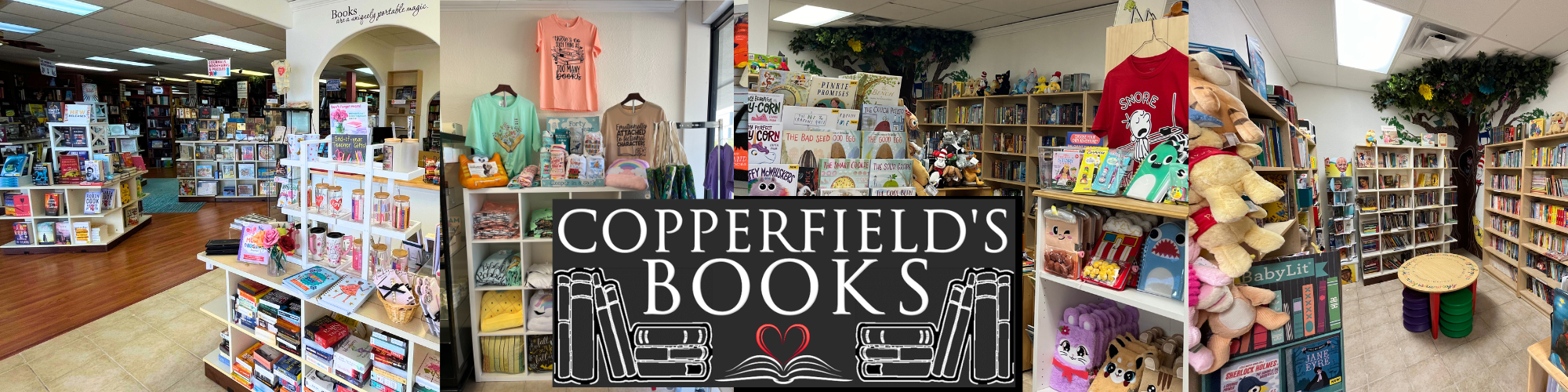 Copperfield's Book Shop in Spring, TX (2)