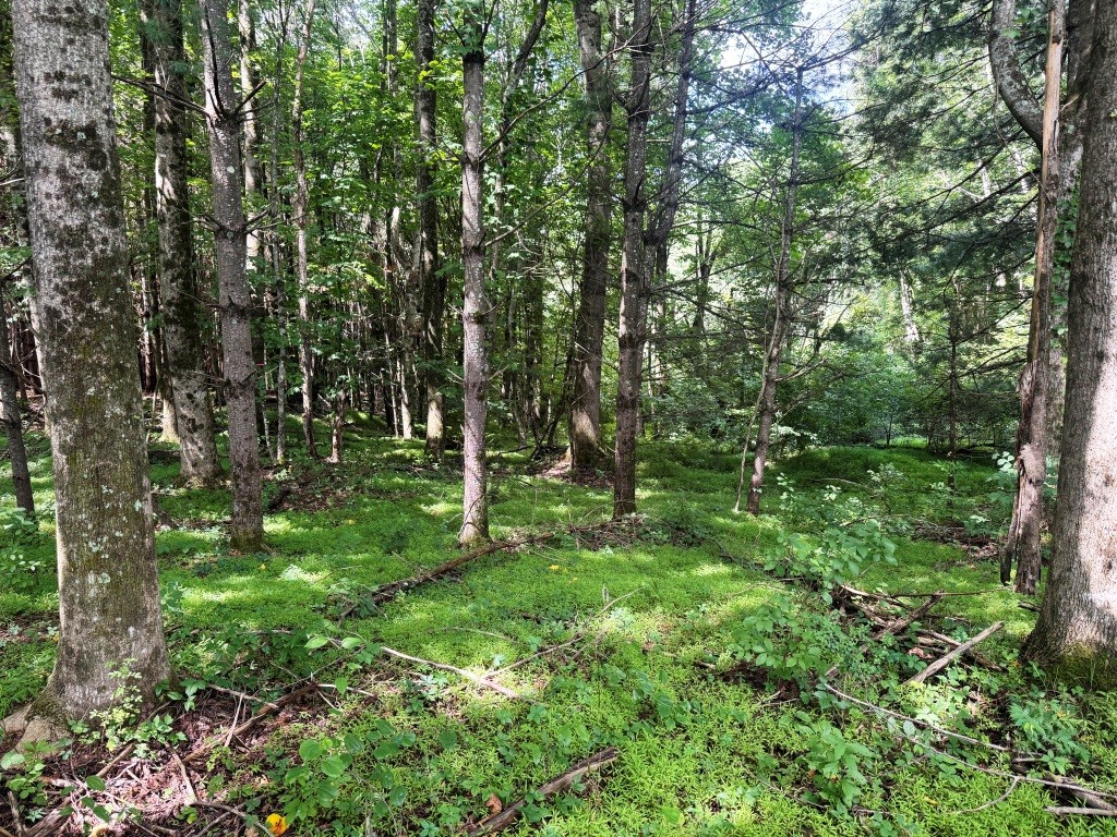United Country Anders Realty & Auction in Wytheville, VA (3)