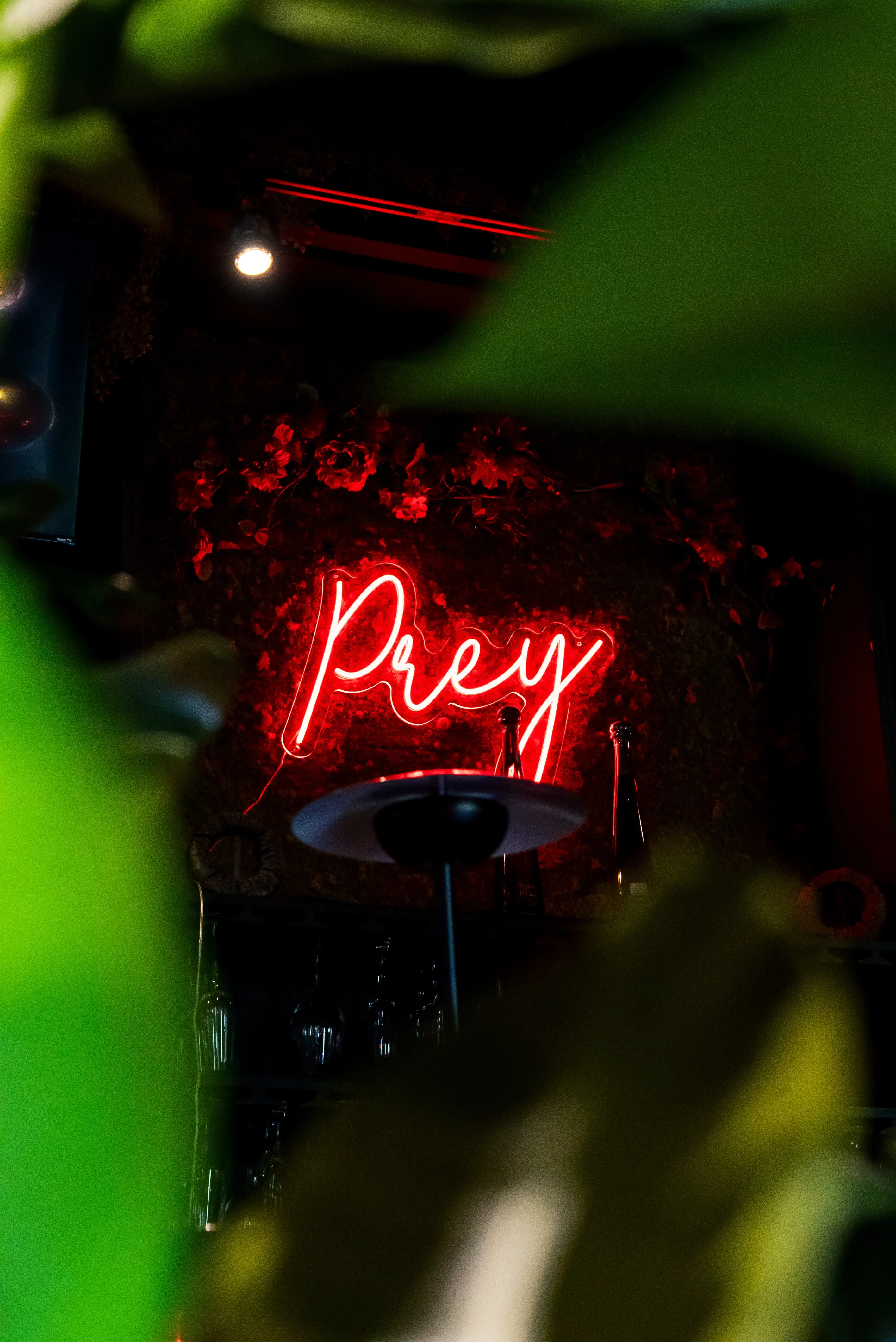 Prey in Houston, TX (3)