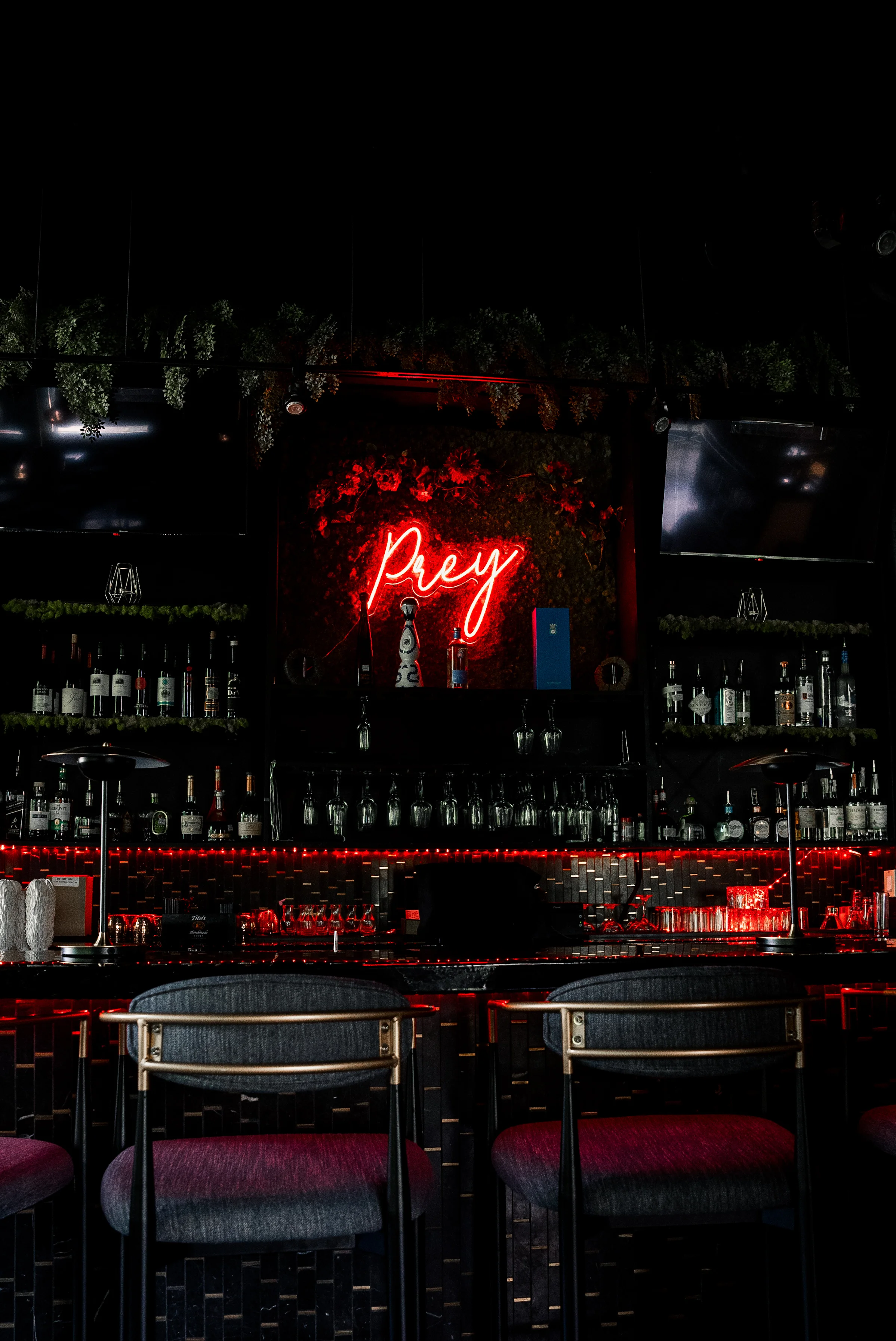Prey in Houston, TX (5)