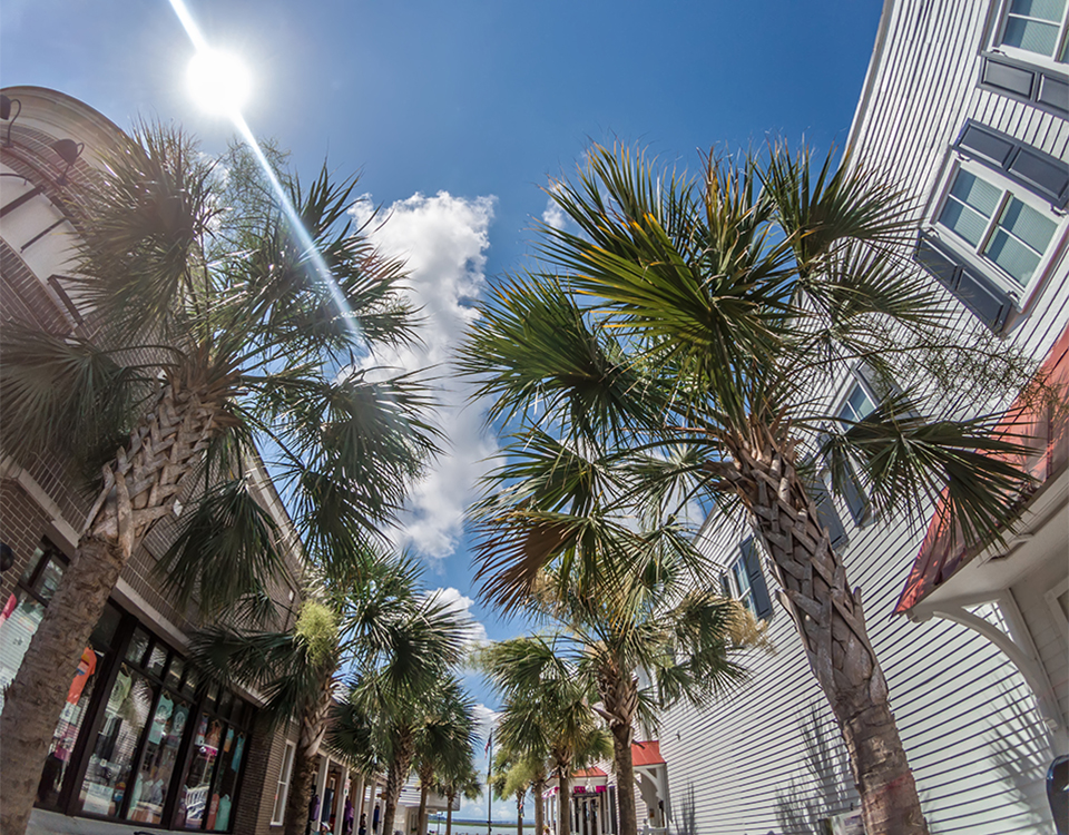 Norton Family Law, LLC in Beaufort, SC (5)