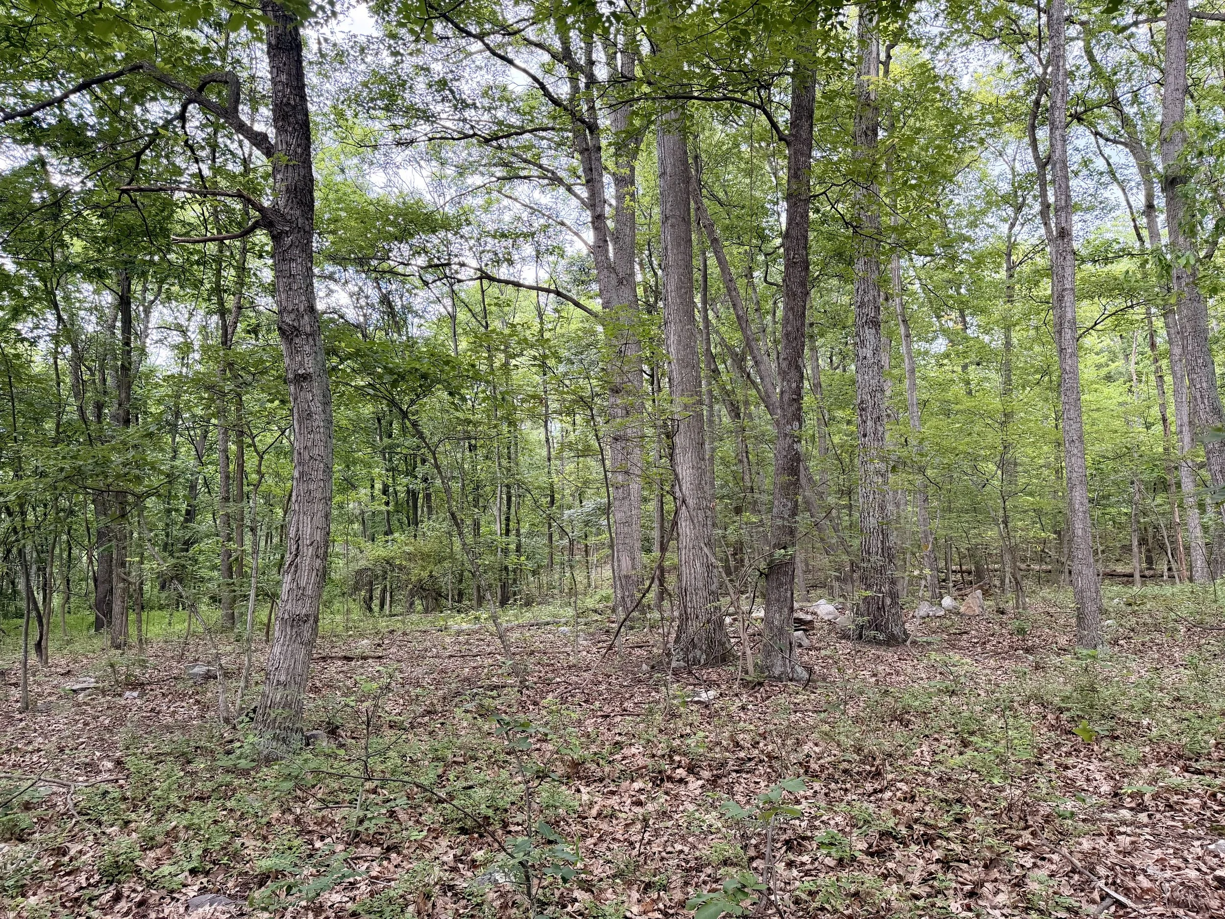 Real Estate Today in Hagerstown, MD