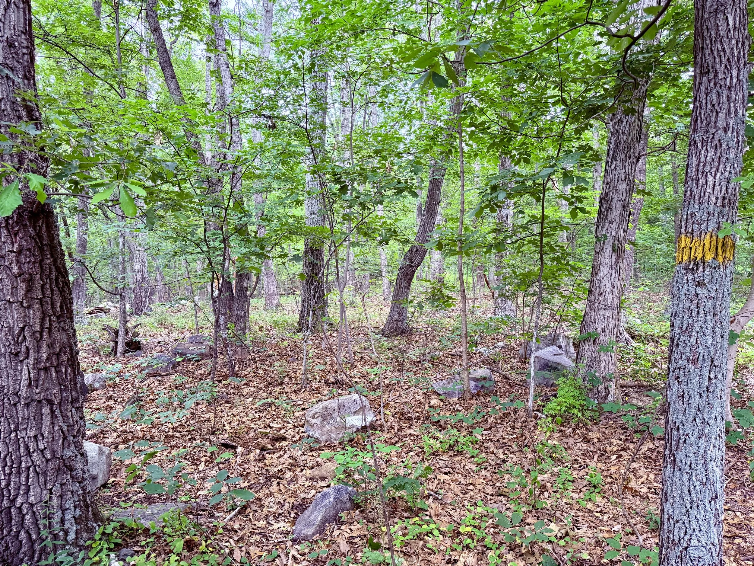 Real Estate Today in Hagerstown, MD (3)