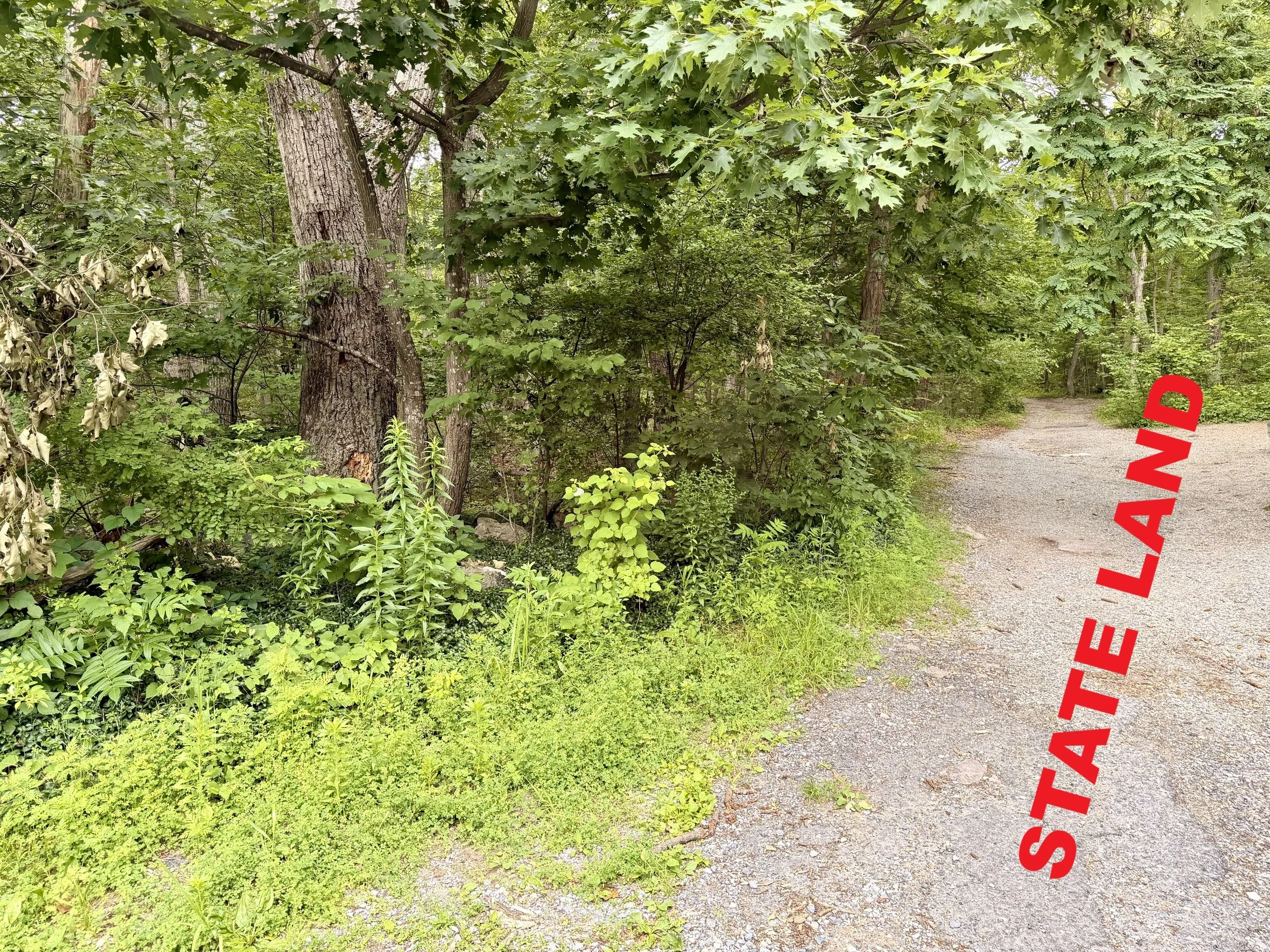Real Estate Today in Hagerstown, MD (6)