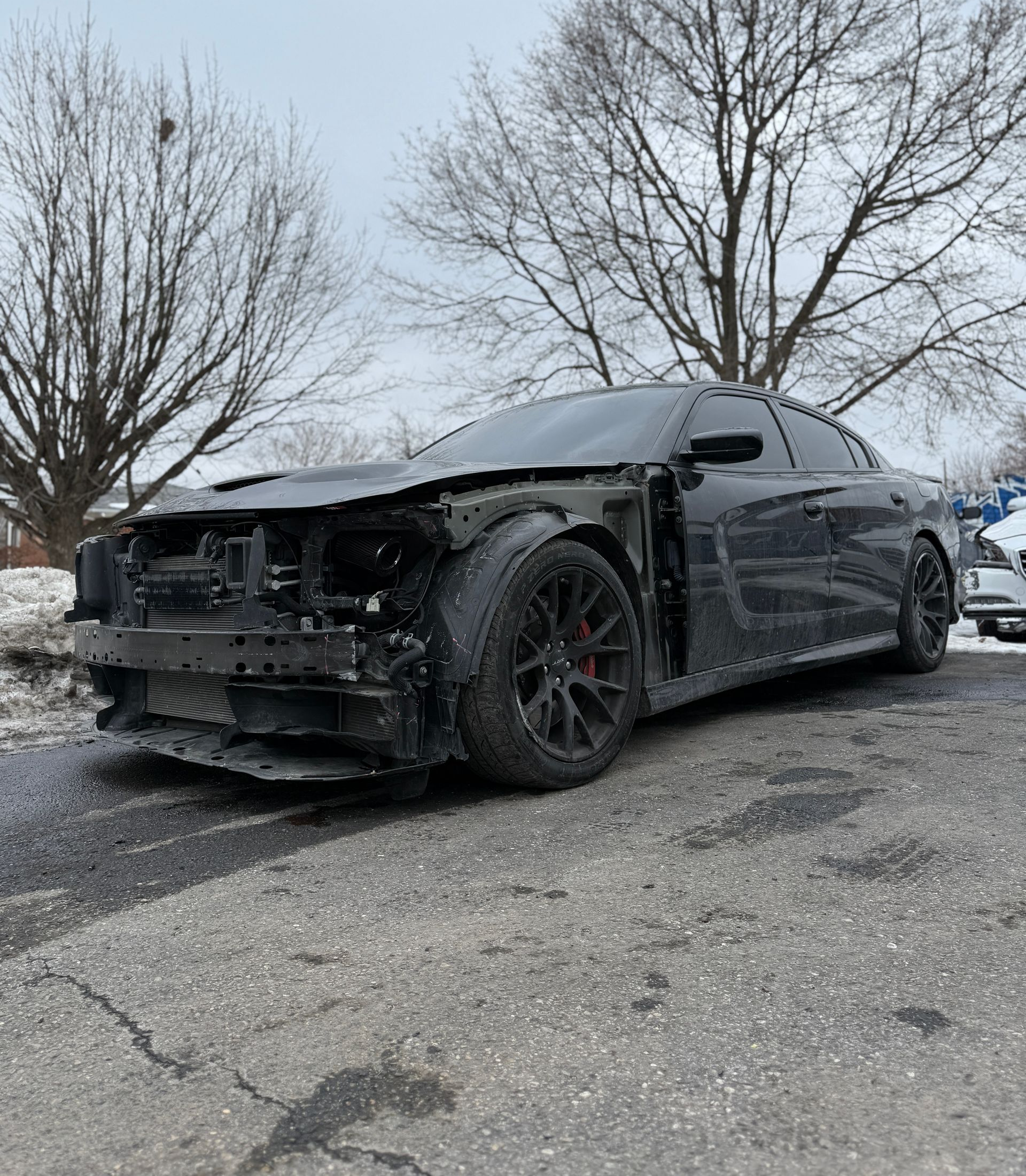 Buff X Customization in Dearborn Heights, MI