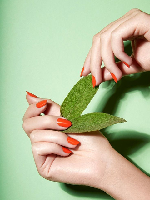 Nu You Spa (15% OFF New Customer - Nail Service only) in Oak Lawn, IL (4)