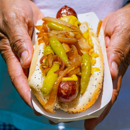 Midway Dogs in Austin, TX (3)