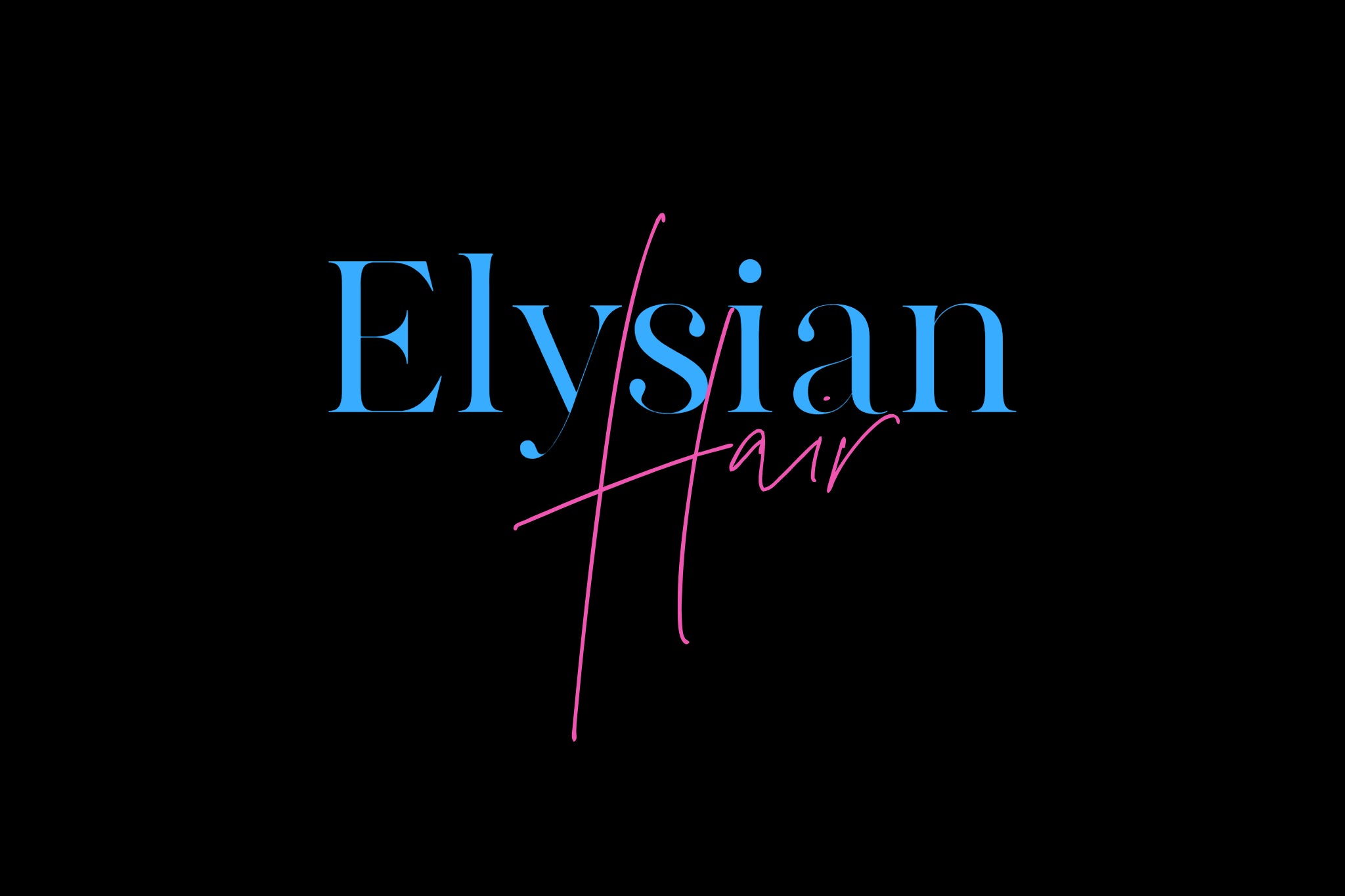Elysian Hair in Detroit, MI (6)