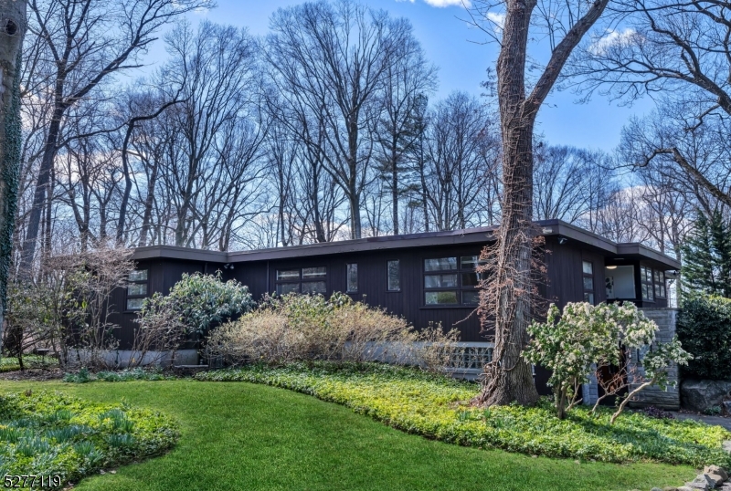 Maryanne Elsaesser- Real Estate Broker- Compass Re in Ridgewood, NJ (2)